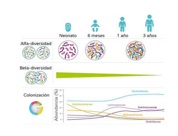 La diversidad microbiana