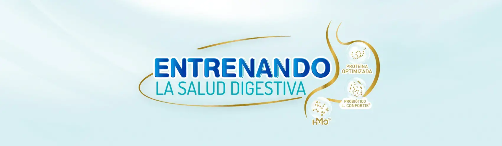 Entrenando la salud digestiva