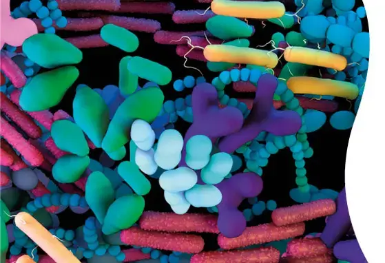 Desarrollo de la microbiota postnatal