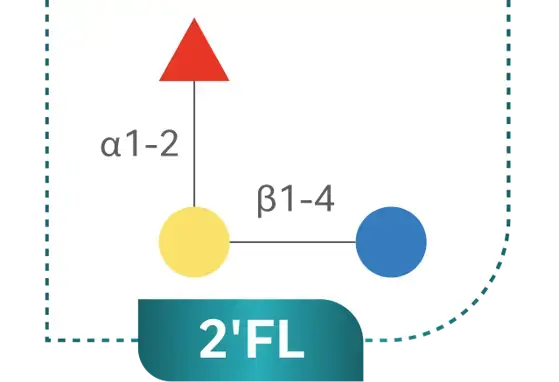 2'FL