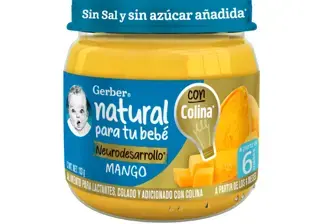 Gerber Plus Neurodesarrollo