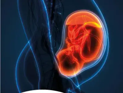 El desarrollo de la microbiota en la etapa prenatal El desarrollo de la microbiota en la etapa prenatal