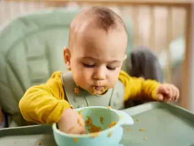 Caracteristicas alimentos Caracteristicas alimentos