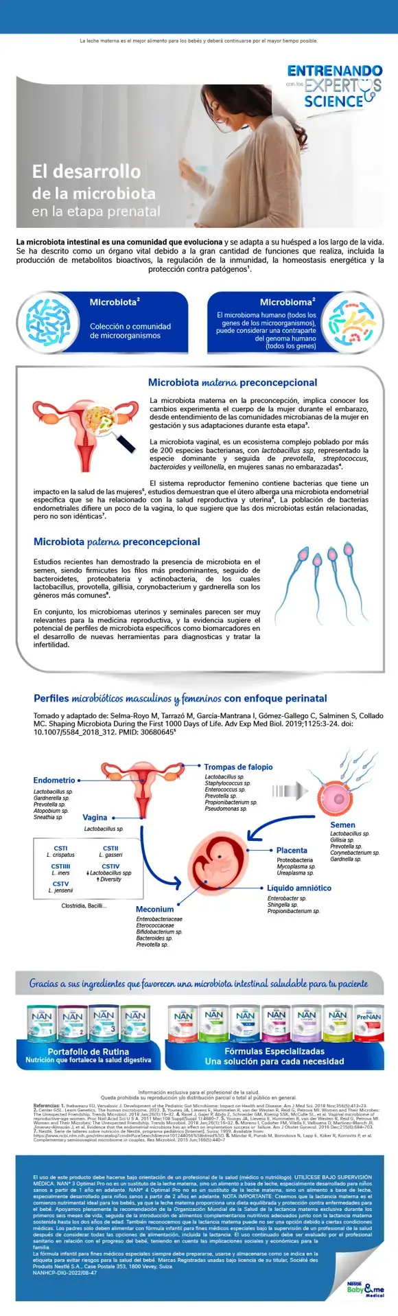 El desarrollo de la microbiota en la etapa prenatal El desarrollo de la microbiota en la etapa prenatal