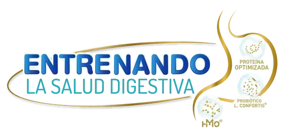 Entrenando la salud digestiva Entrenando la salud digestiva