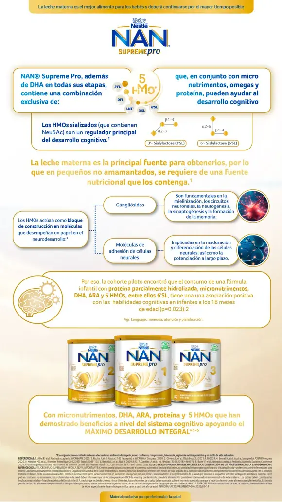 Infografía Sistema Cognitivo