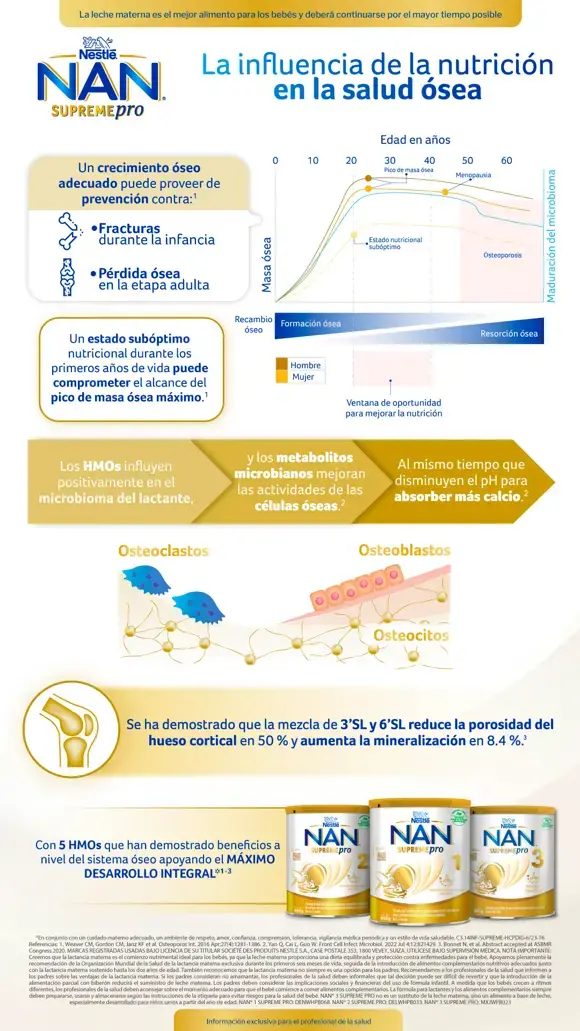 Infografía Sistema Óseo