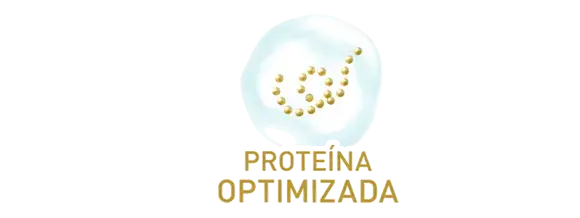 Proteína Optimizada