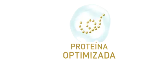 Proteína Optimizada Proteína Optimizada