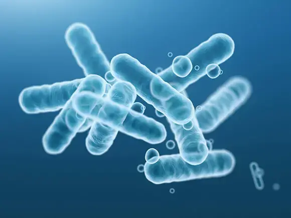 Probioticos como suplemento