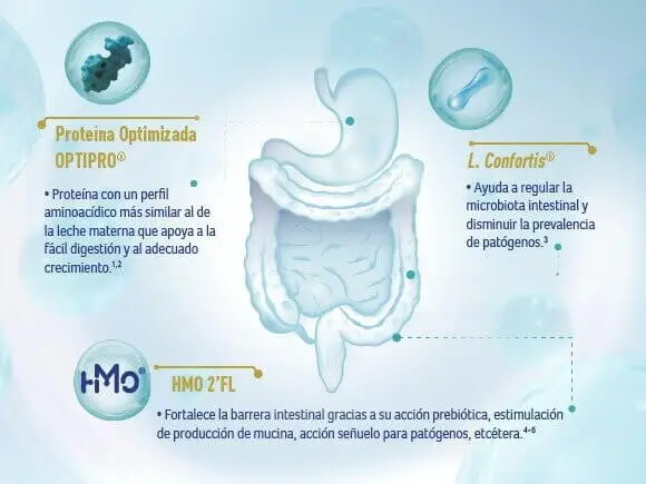 características nan optimal pro características nan optimal pro